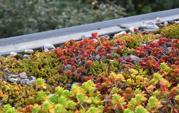 the cost of Campion Hills green roof installation