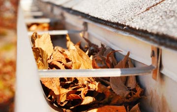 Campion Hills gutter cleaning companies