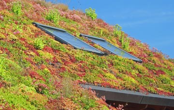 Campion Hills living roof systems