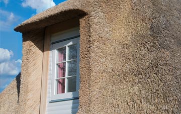 Campion Hills thatch roof disadvantages